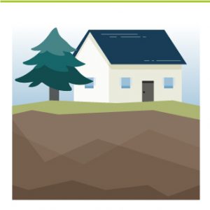 proximité des arbres lors d'une construction